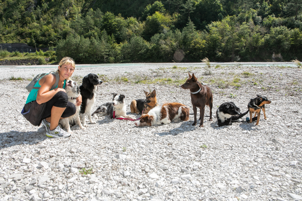 Daryl Luccon | Fit Your Dog | Ginnastica propriocettiva | Preparazione atletica ! Educazione cinofila