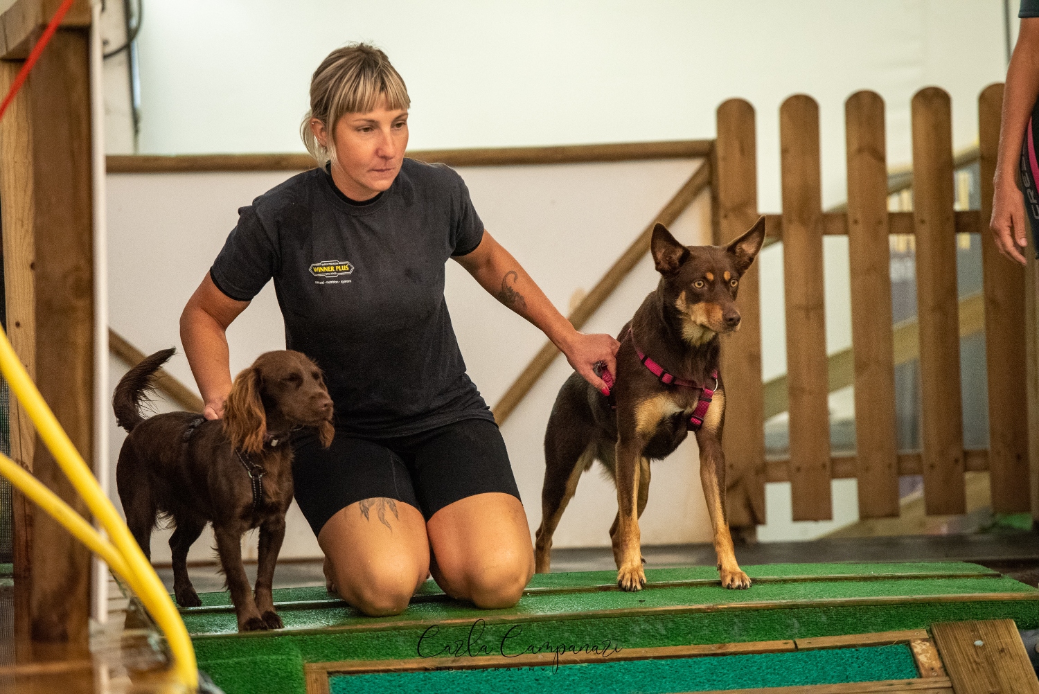 Daryl Luccon | Fit Your Dog | Ginnastica propriocettiva | Preparazione atletica | Educazione cinofila