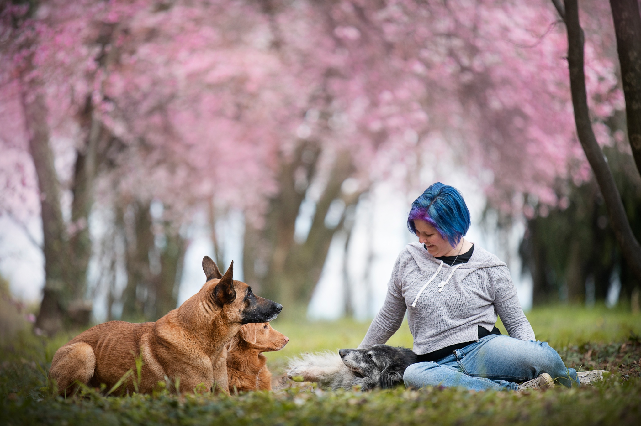 Marta Cianci | Fit Your Dog | Ginnastica propriocettiva | Preparazione atletica ! Educazione cinofila