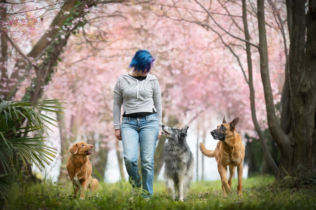 Marta Cianci | Fit Your Dog | Ginnastica propriocettiva | Preparazione atletica ! Educazione cinofila