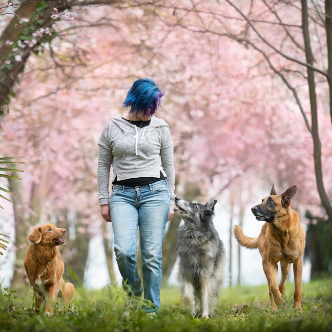 Marta Cianci | Fit Your Dog | Ginnastica propriocettiva | Preparazione atletica ! Educazione cinofila