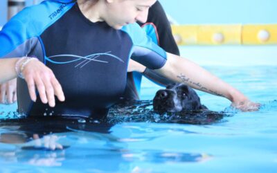 Dog Acqua Fit