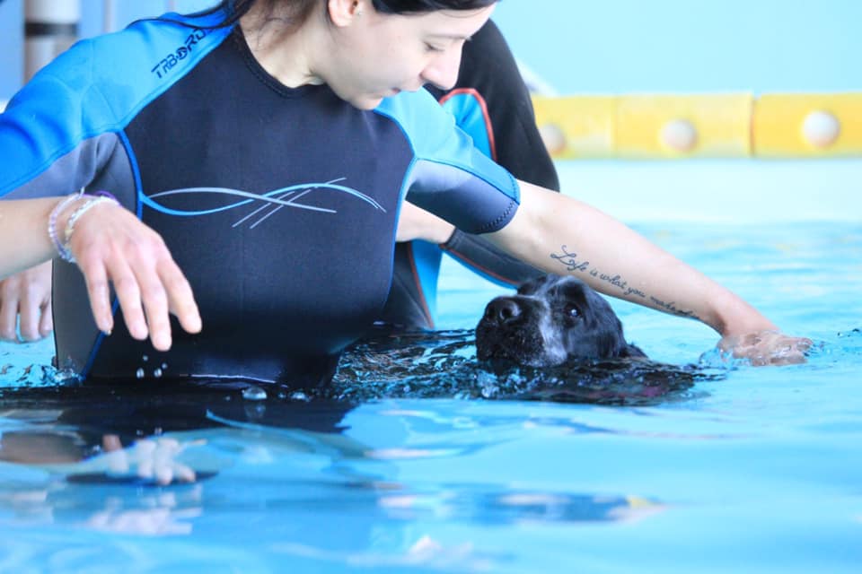 Dog Acqua Fit