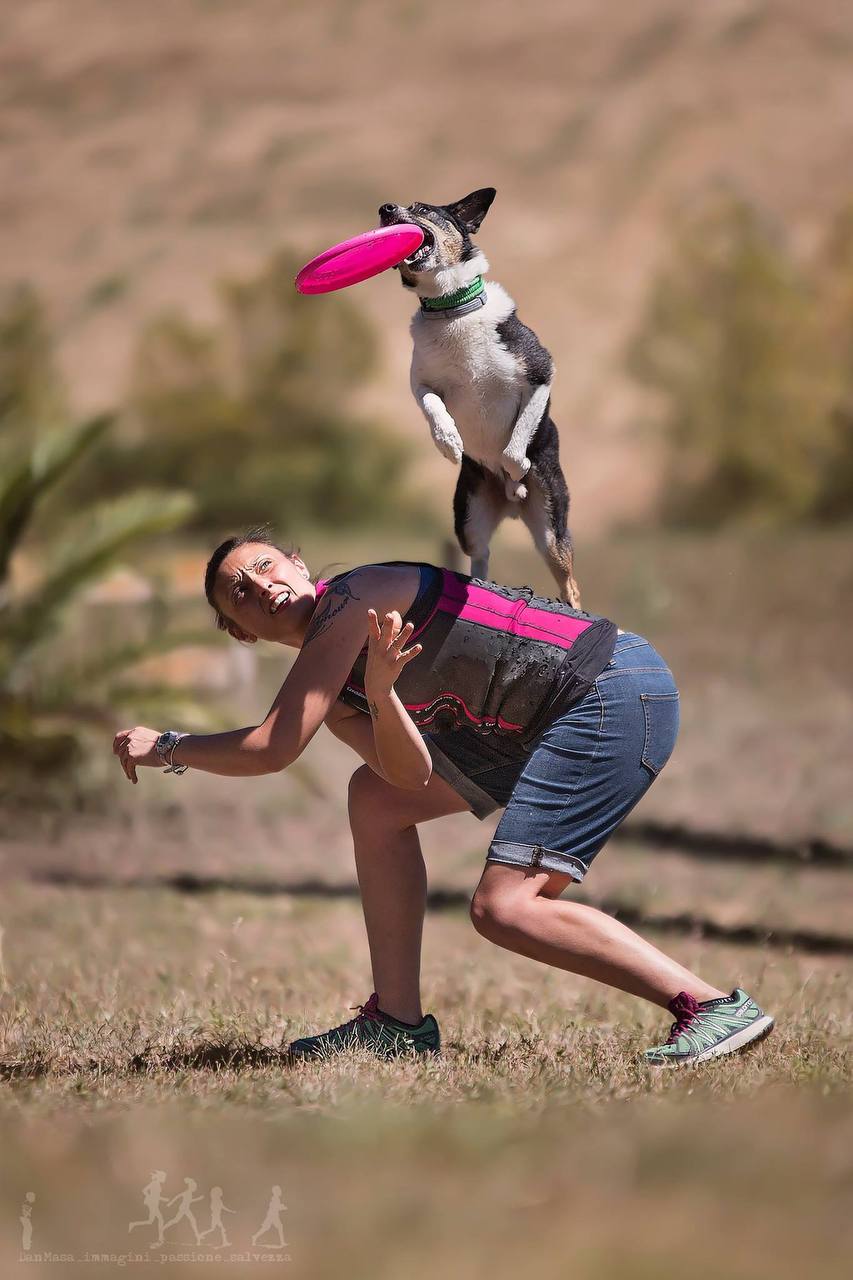 Naima De Luca | Fit Your Dog | Ginnastica propriocettiva | Preparazione atletica ! Educazione cinofila
