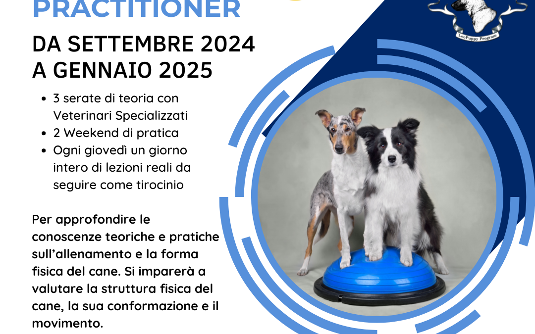 Corso Fit Your Dog Practitioner a Brescia