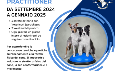 Corso Fit Your Dog Practitioner a Brescia