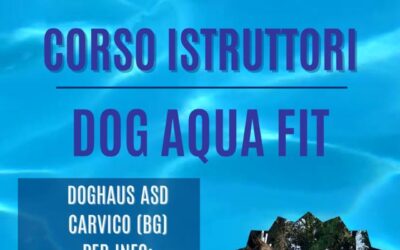 Dog Aqua Fit: 02-03-04 Agosto 2025